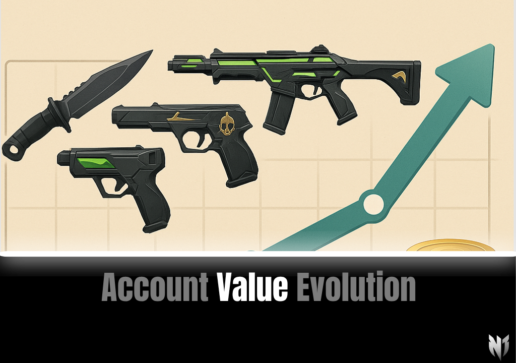 Account Value Evolution: Track How Your Collection Grows